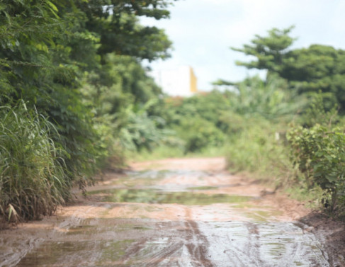 Estrada do Ara&ccedil;a, no Urura&iacute;