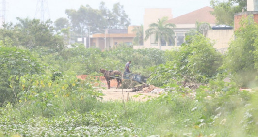 Carroceiro no Parque Rodoviário