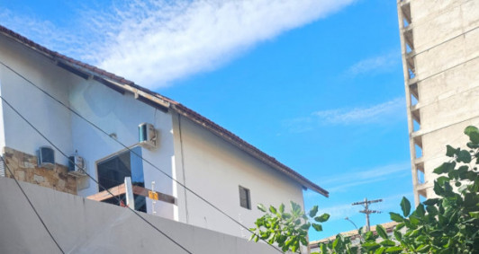 rvore cada na mesma rua da que ser cortada