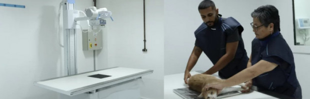 Novo aparelho permitirá a ampliação no atendimento de animais no hospital