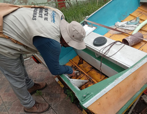 Combate ao mosquito da dengue