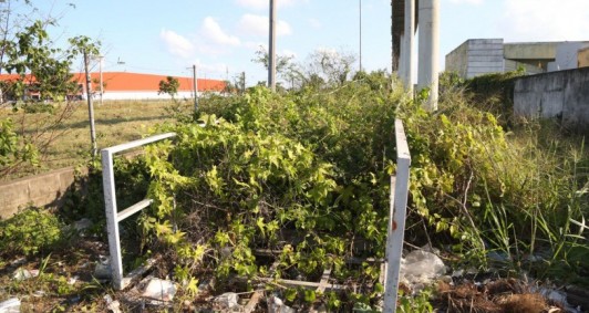 O mato e o lixo na cabeceira da passarela cresce - Foto: Rodrigo Silveira 