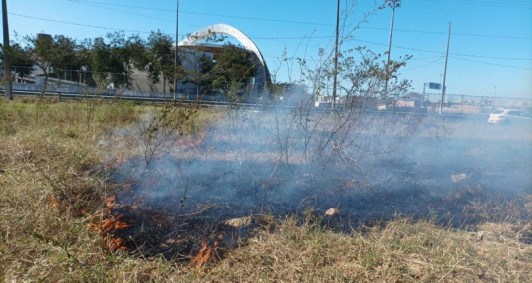 Fogo em vegeta&ccedil;&atilde;o &eacute; registrado &agrave;s margens da BR 356, em Campos