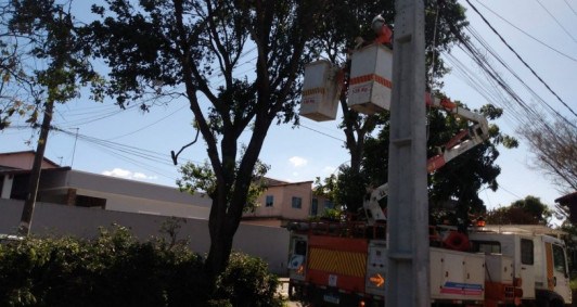 Poda de árvore pela Enel