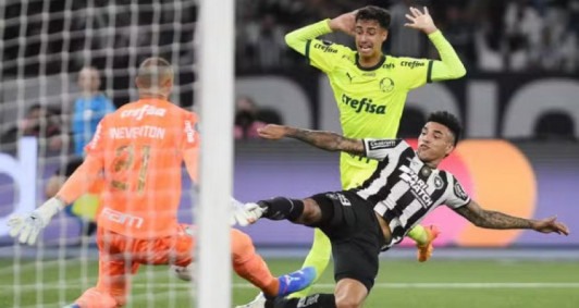 Botafogo vence o Palmeiras por 2 a 1