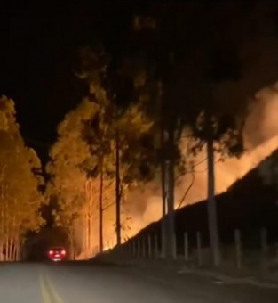 Fogo atinge vegetação da região