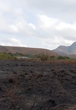 Grandes queimadas são registradas em São Fidélis