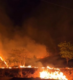 Grandes queimadas são registradas em São Fidélis