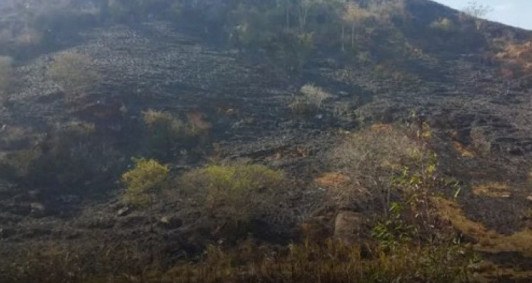 Grandes queimadas são registradas em São Fidélis