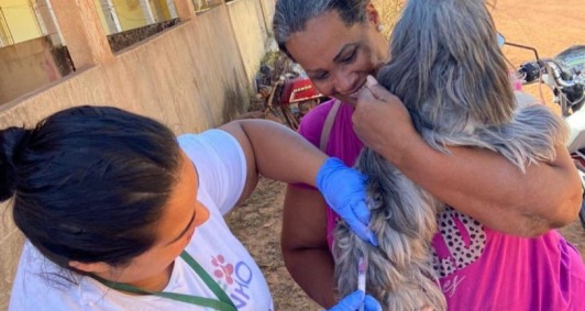 SJB realiza o dia D da Campanha de vacinação antirrábica neste sábado