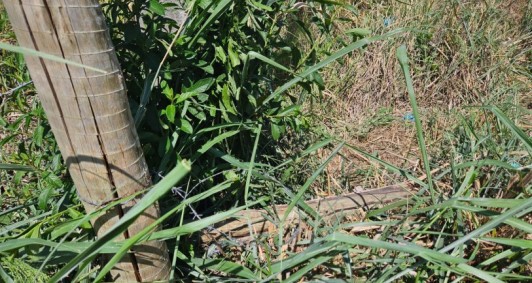 Local em que o carro capotou e destruiu a cerca