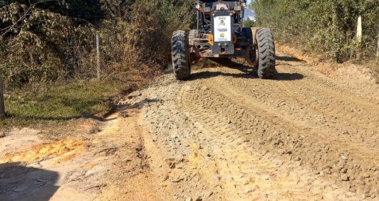 Atuao da Agricultura