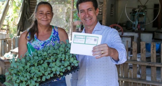 Atuao da Agricultura