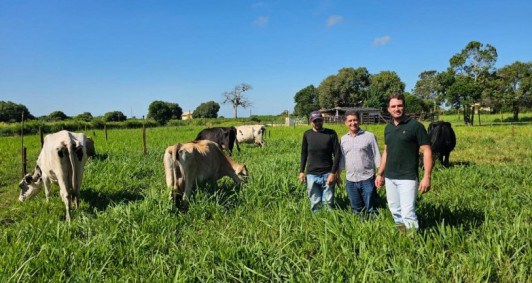 Atuao da Agricultura