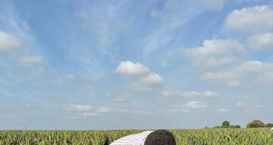 Atuao da Agricultura