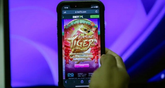 Bloqueio dos sites irregulares dever&aacute; ser feito pela Anatel