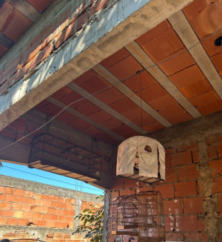 P&aacute;ssaros apreendidos