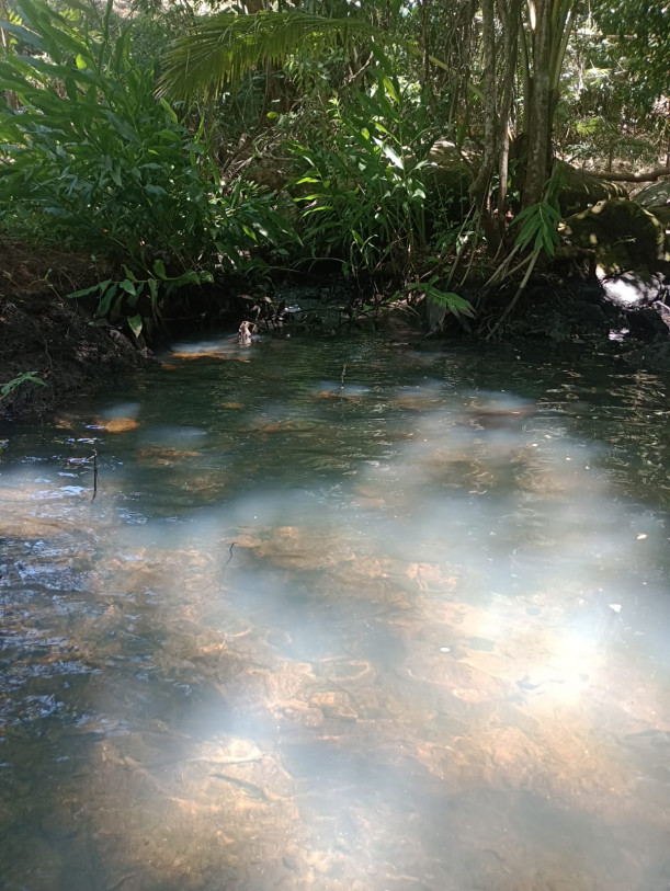 Cachoeira da D, Serafina, Mata da Cruz
