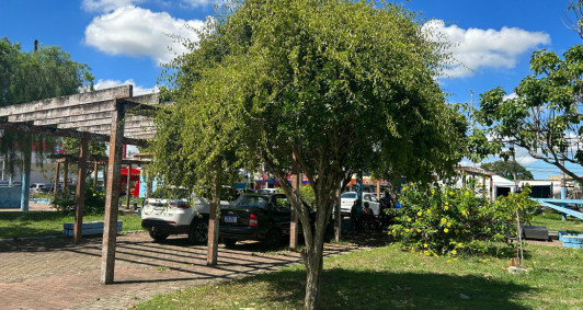 Veículos estacionados em grande parte de praça na Baixada Campista