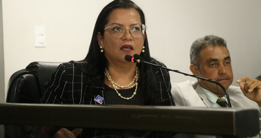 Vereadora Alexandra Moreira