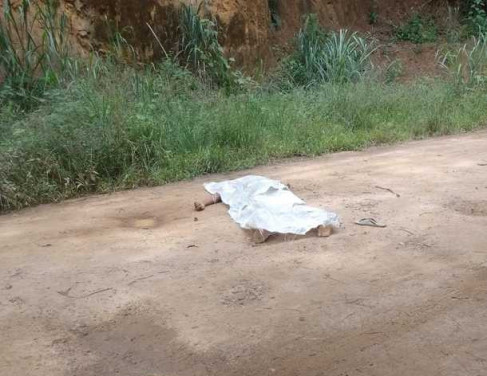 Duplo homic&iacute;dio em S&atilde;o Fid&eacute;lis