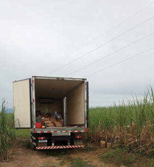 Divulga&ccedil;&atilde;o 