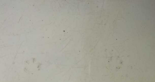 P&eacute;s do gamb&aacute; no muro do quintal