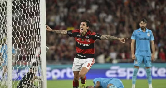 Pedro comemora gol do Flamengo contra o Santos 