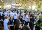person