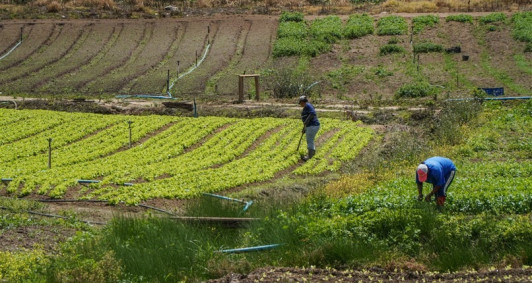 &Aacute;rea rural