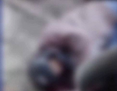 Crime aconteceu no bairro Vinhosa