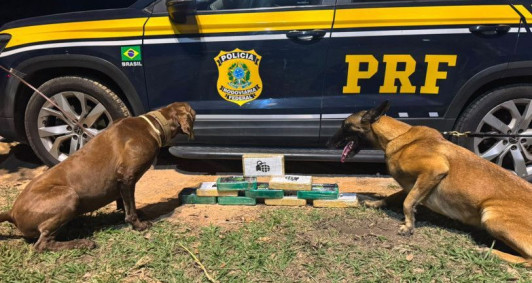 Passageira &eacute; presa com quase 10 kg de drogas que seriam entregues na rodovi&aacute;ria de Campos