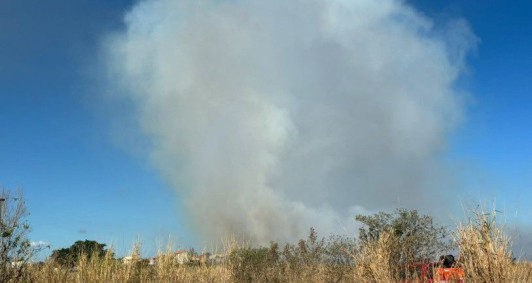 Inc&ecirc;ndio atinge &aacute;rea de vegeta&ccedil;&atilde;o na Pecu&aacute;ria