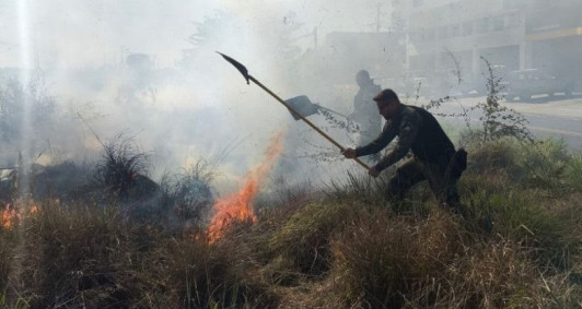 Inc&ecirc;ndio em &aacute;rea de vegeta&ccedil;&atilde;o