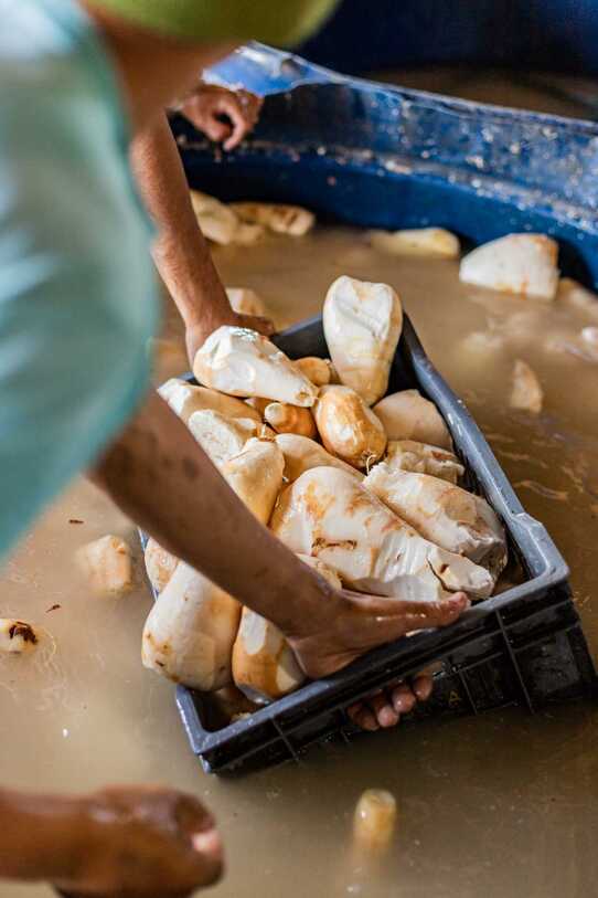 Imagens fazem parte de ensaio sobre a produ&ccedil;&atilde;o de farinha em SFI