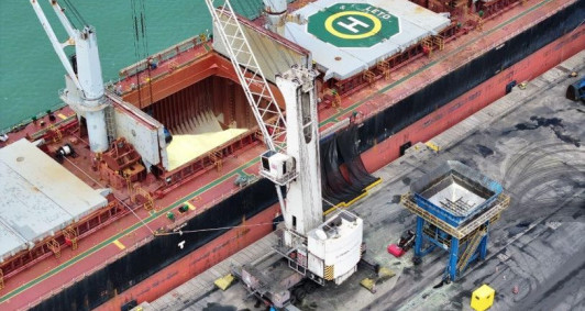 Ao todo, 1500 toneladas do granel s&oacute;lido oriundo do Estados Unidos foram importadas