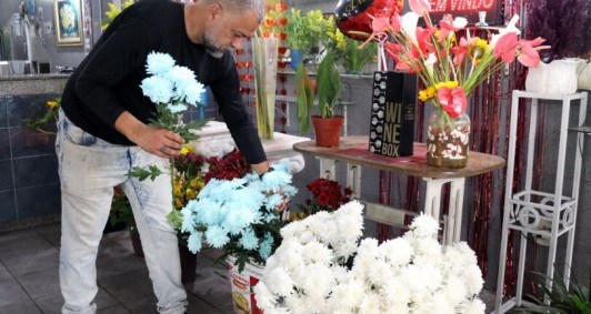 Flores 