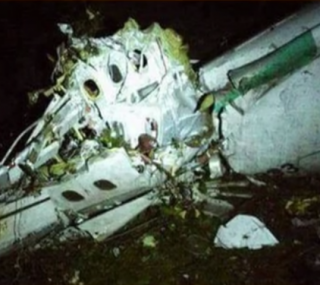 Reprodu&ccedil;&atilde;o