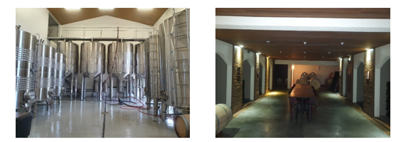 Cantina e sala de degusta&ccedil;&atilde;o