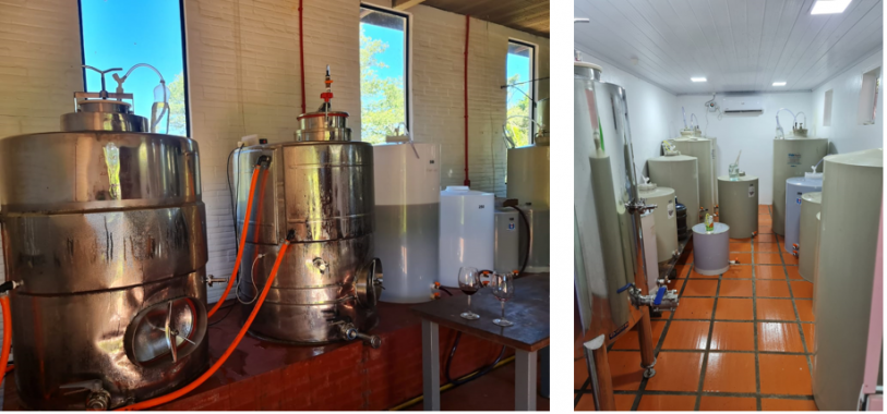 Cantina da Vin&iacute;cola Don Carlos