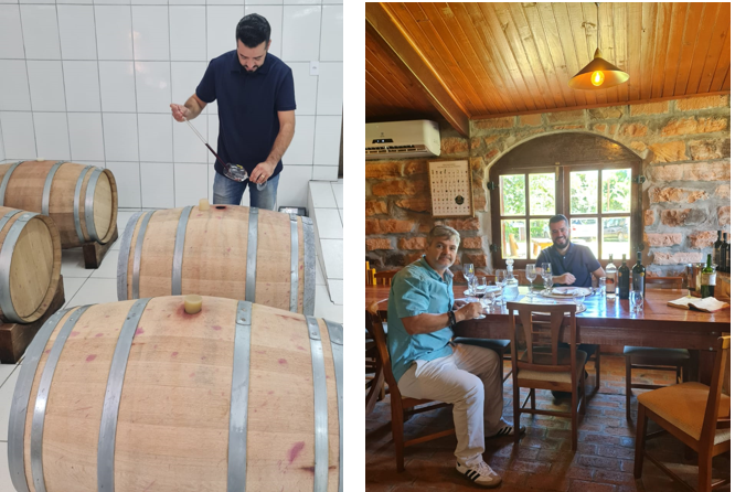 Degusta&ccedil;&atilde;o dos vinhos da safra de 2020 e 2021