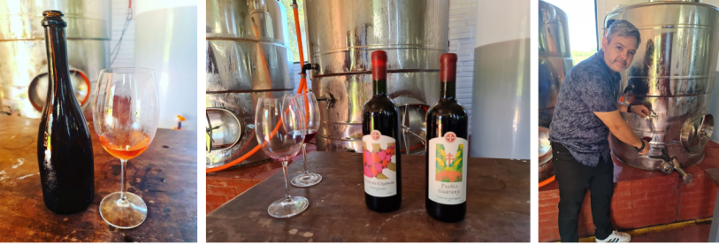 Degusta&ccedil;&atilde;o dos vinhos, Espumante Sangiovese, Cabernet Sauvignon safras 2014 e 2015 e Pinot Noir ainda em elabora&ccedil;&atilde;o.