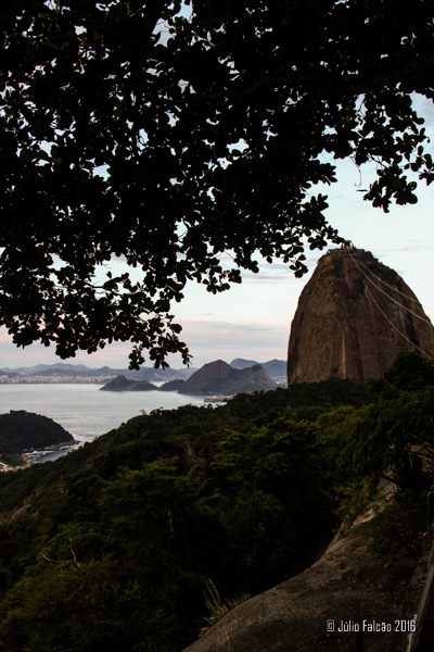 13062201_1024037561003764_642833394471328098_n