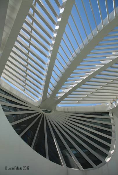 13083319_1024033771004143_6723142439796427437_n