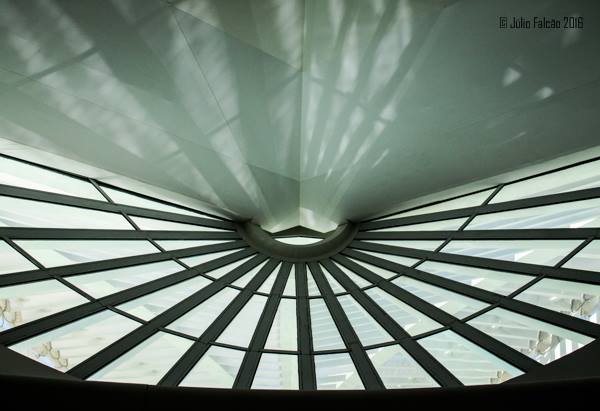 13087890_1024034984337355_3775309525614931945_n