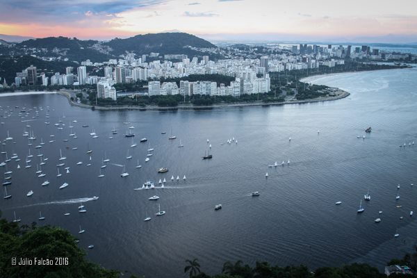 13095747_1024036224337231_7818889385915873536_n