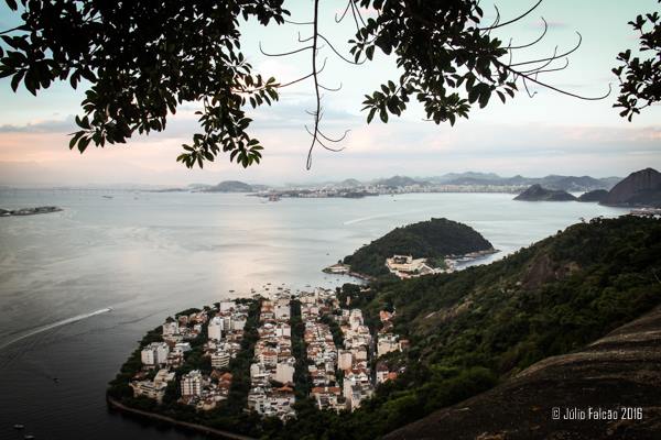 13100709_1024037681003752_6666291464941137920_n