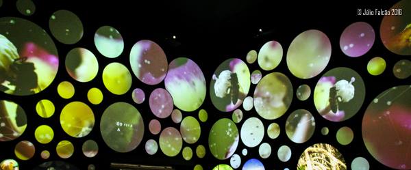 13100941_1024035247670662_282320853410526011_n