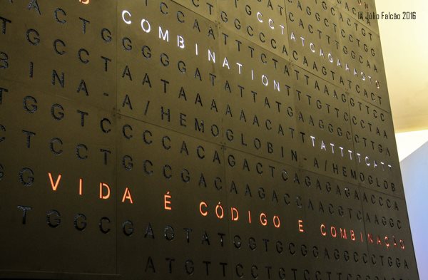 13102870_1024035334337320_7913333535212473541_n