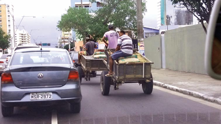 burros-dupla-28-março-X
